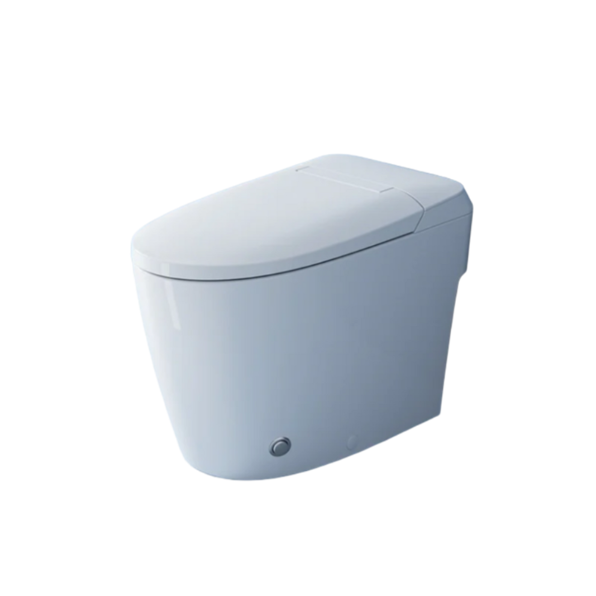 Accessible Home Smart Toilet