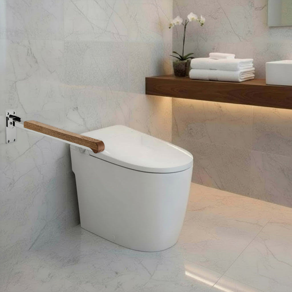 Accessible Home Smart Toilet