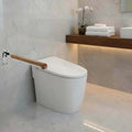 Accessible Home Smart Toilet