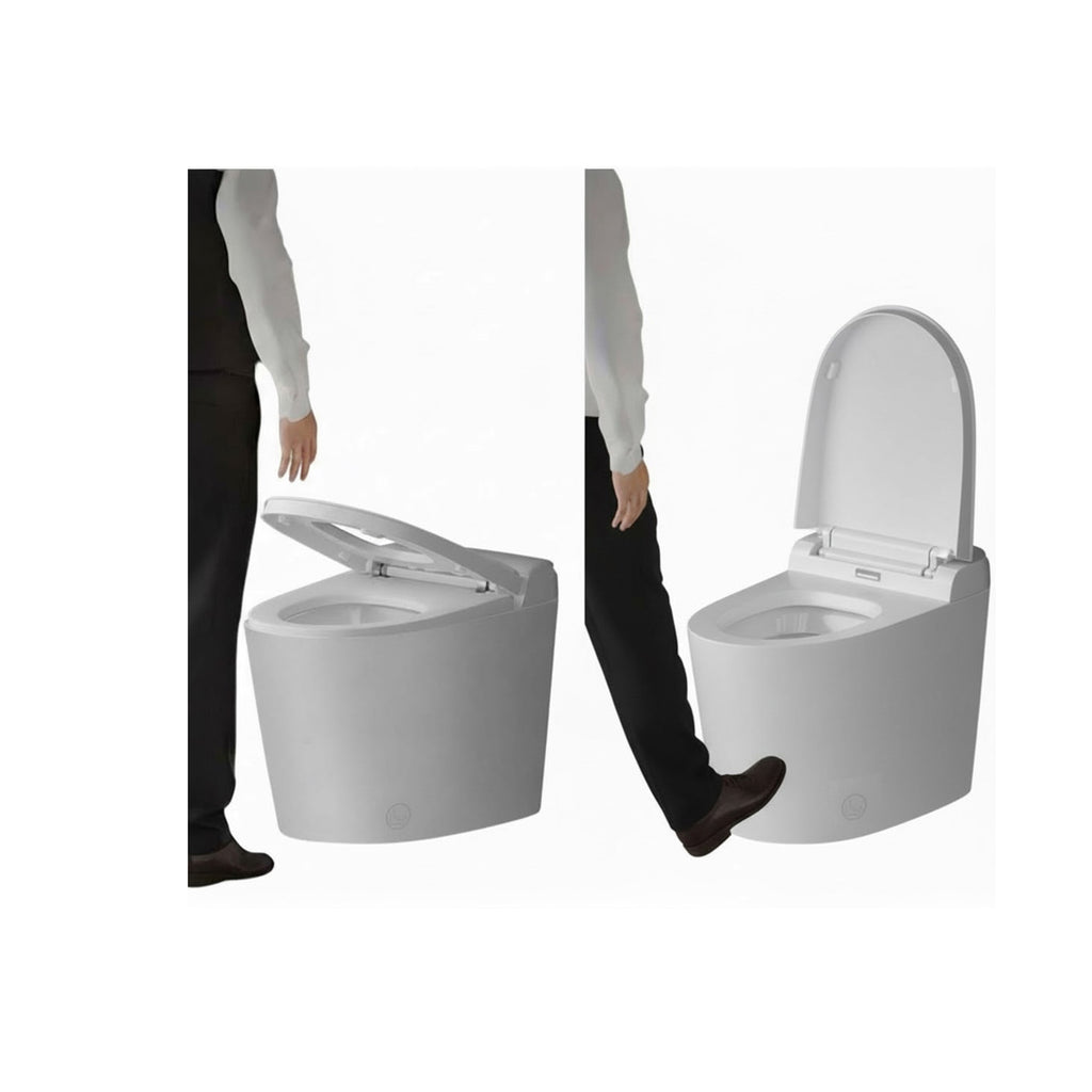 Accessible Home Smart Toilet