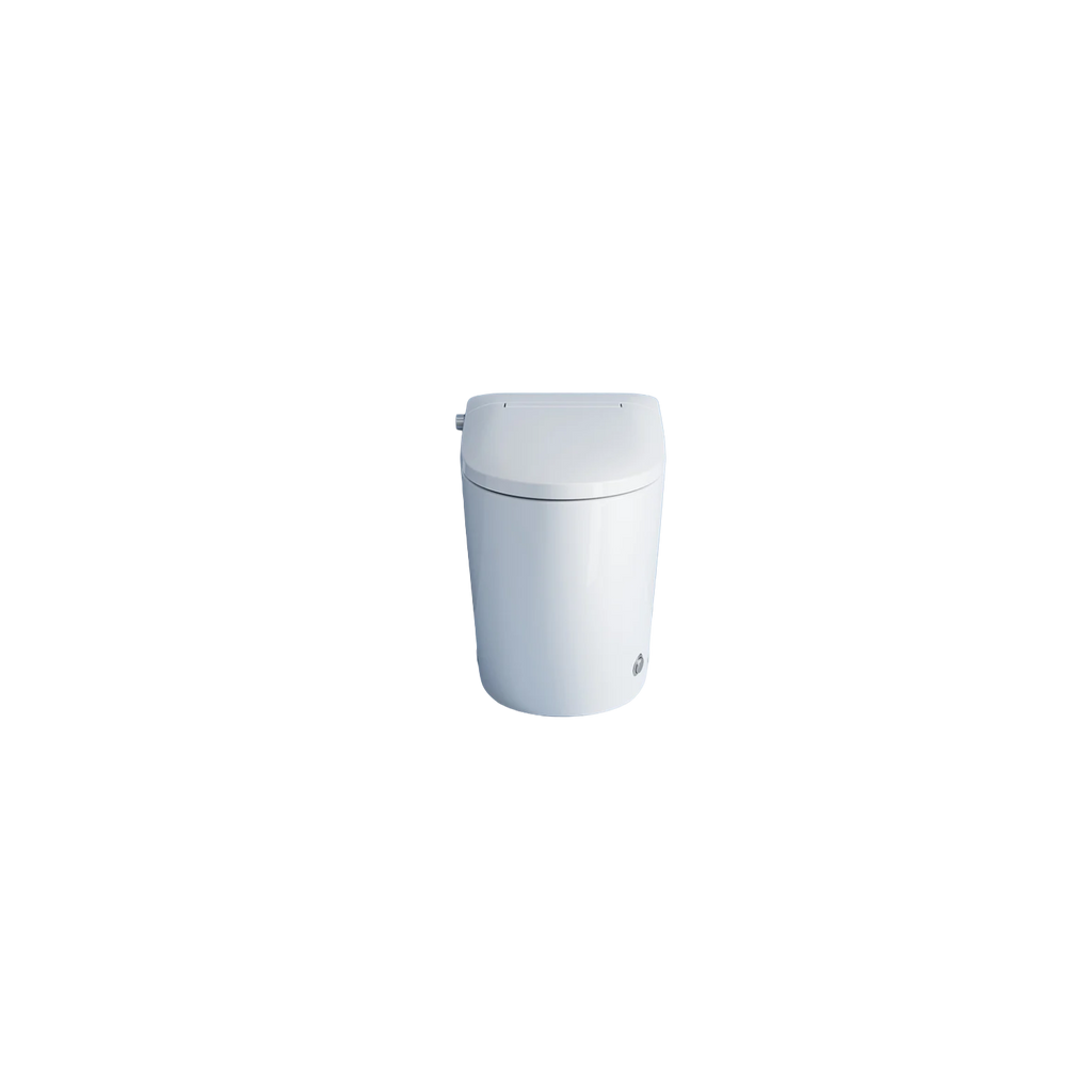 Accessible Home Smart Toilet