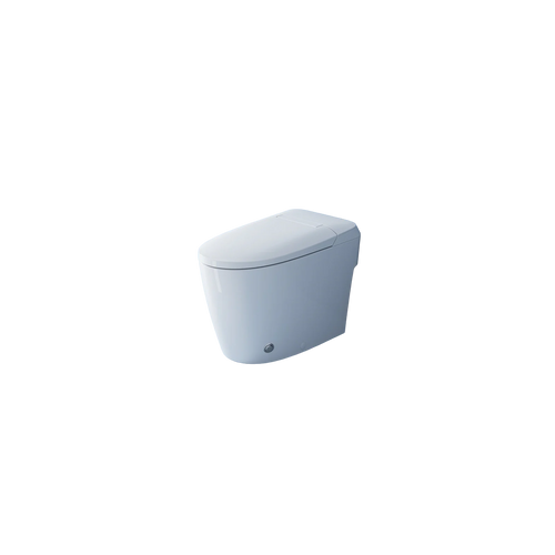 Accessible Home Smart Toilet